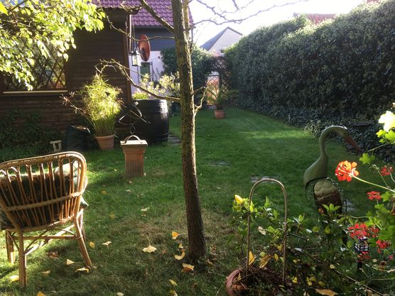 die letzten Sonnenstrahlen................... die letzten Sonnenstrahlen...................