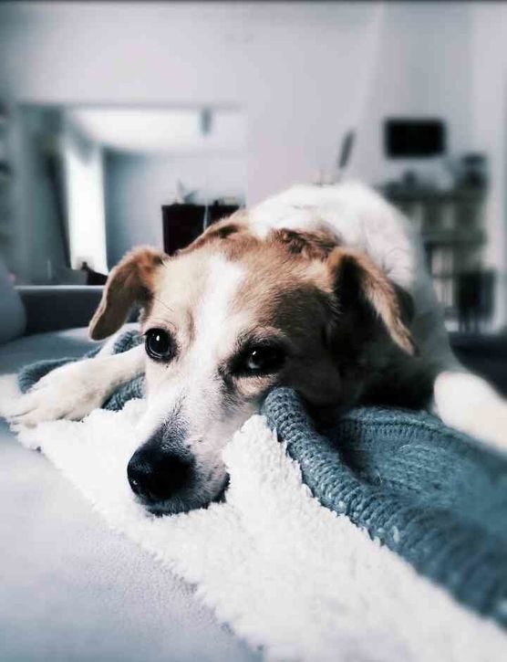 Bild von imJuli Bild von imJuli