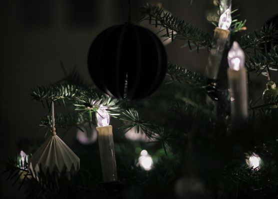 Ein Moodbild unseres ersten Ein Moodbild unseres ersten