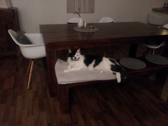 gemütlich gemacht..... gemütlich gemacht.....