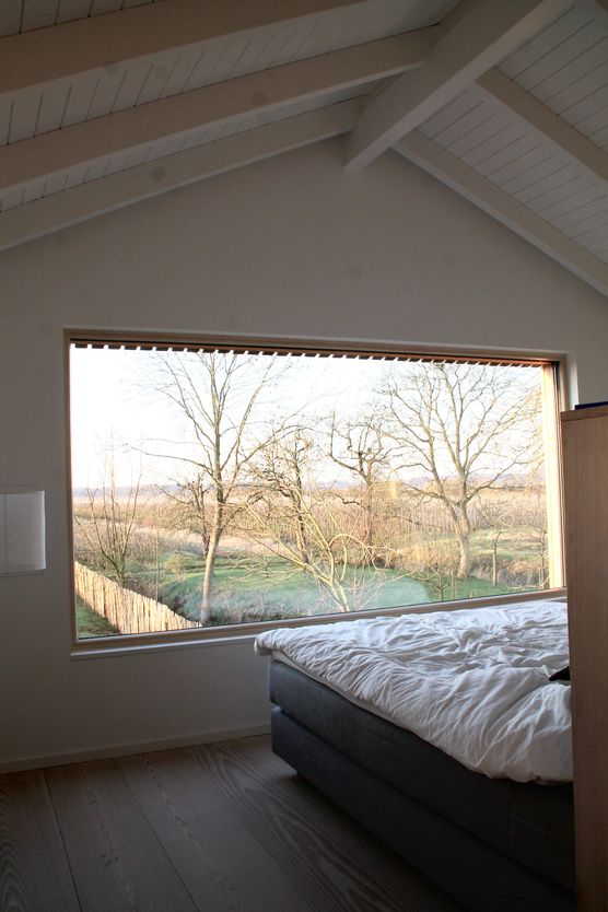 ganz nackig, die Bäume ganz nackig, die Bäume