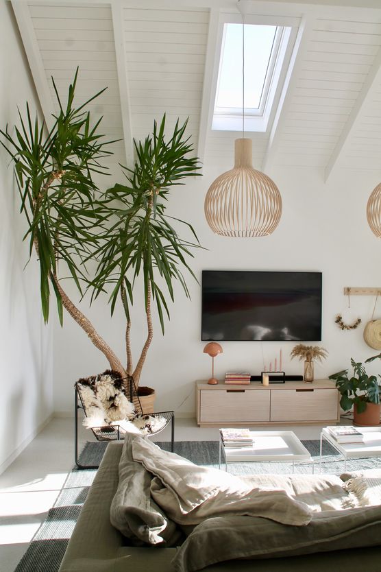 Palmenflair und Sonnenschein, zumindest Palmenflair und Sonnenschein, zumindest