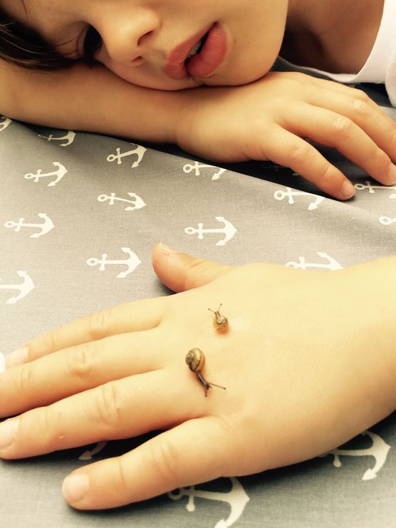 Die Entdeckung der Langsamkeit... Die Entdeckung der Langsamkeit...