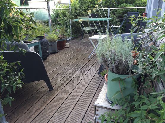 wilder balkon... wilder balkon...