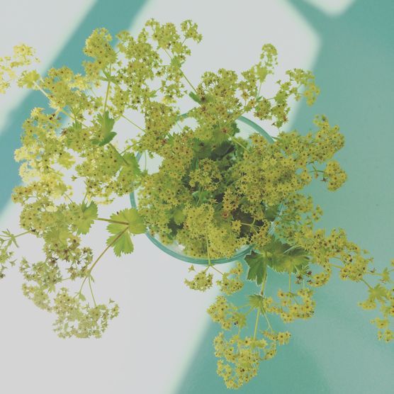 sommerzeit sommerzeit