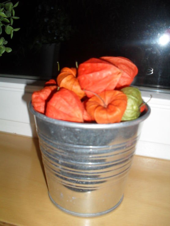 Nochmal Herbst Nochmal Herbst