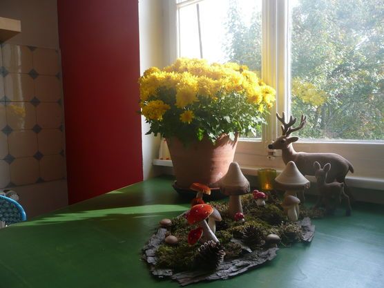 Herbstlicht und neue Schätzchen Herbstlicht und neue Schätzchen