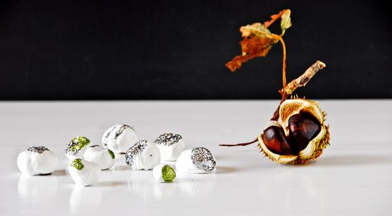 Glitter Kastanien Glitter Kastanien