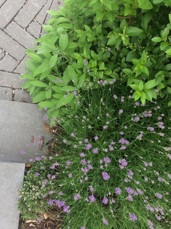 Ich liebe die Kombination Ich liebe die Kombination