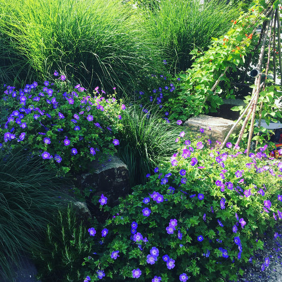 Im Moment erfreue ich Im Moment erfreue ich