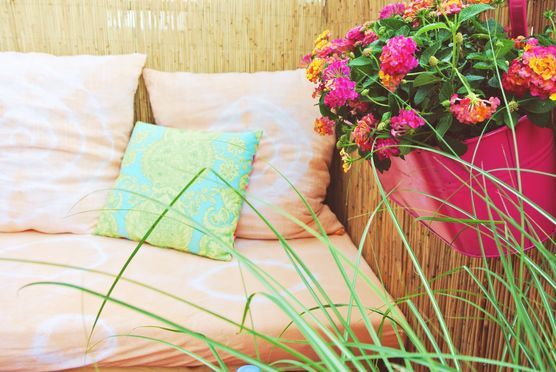 Our new home! Our new home!