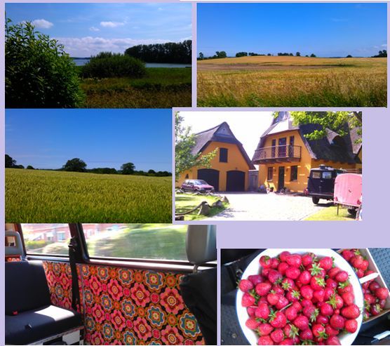 Unterwegs in der Natur Unterwegs in der Natur