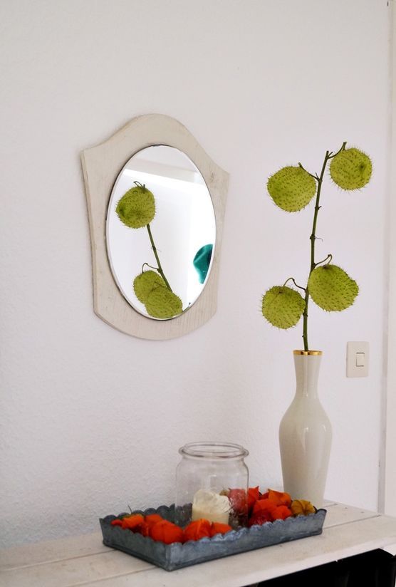 Kugelfischblume Kugelfischblume