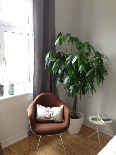 Souvenir aus dem Neuengland Urlaub 201, Souvenir aus dem Neuengland Urlaub 201,