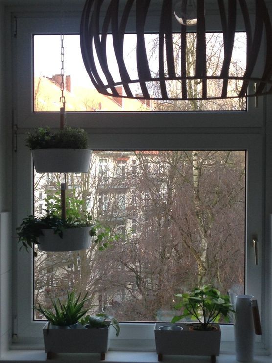 Küchen-Ausblick Küchen-Ausblick