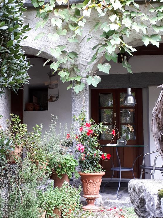 Nach etwa zwei Monaten Nach etwa zwei Monaten