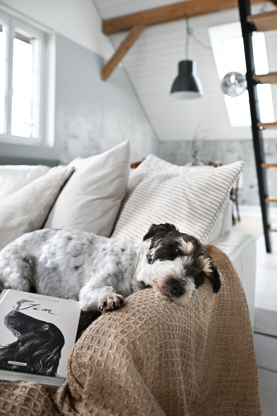 ¨merci JiM¨
du warst auf ¨merci JiM¨
du warst auf