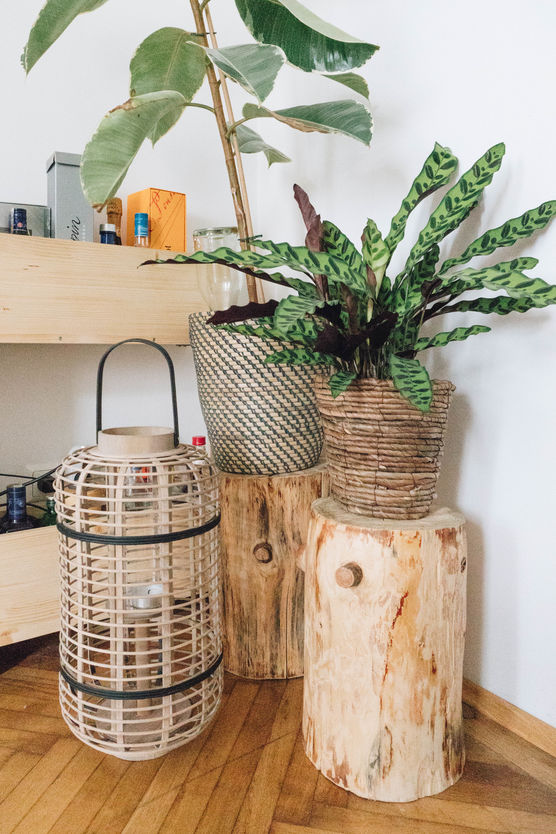 Meine Baumstamm-Tische sind ein Meine Baumstamm-Tische sind ein