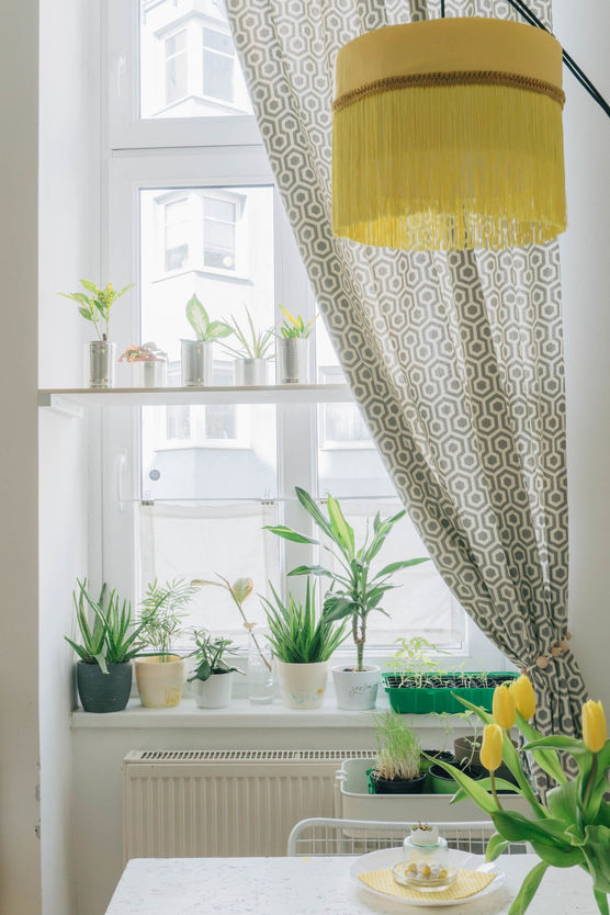 In meinen DIY Fensterregalen In meinen DIY Fensterregalen