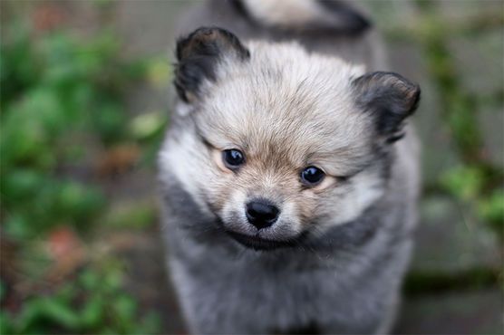 Kein Dekobjekt, macht sich aber trotzdem gut bei uns 😉 Kein Dekobjekt, macht sich aber trotzdem gut bei uns 😉