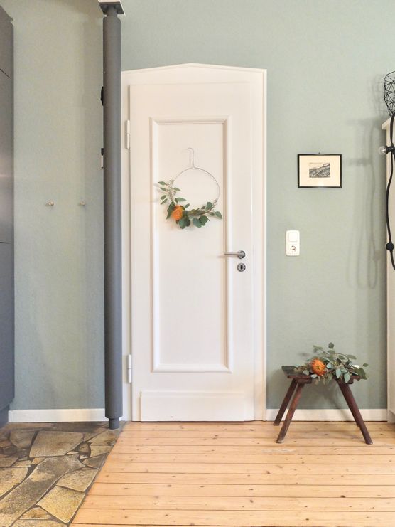 spinne an eukalyptus spinne an eukalyptus