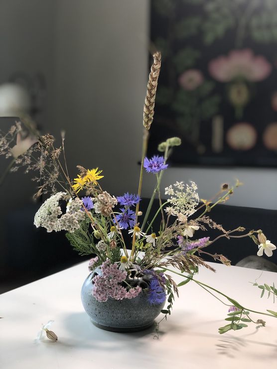 vom wegesrand.... vom wegesrand....