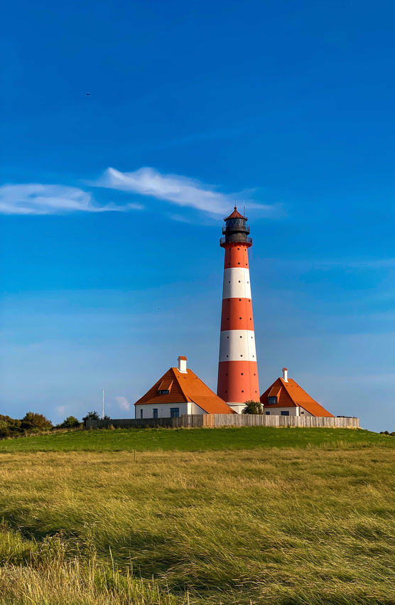 Bild von Die Einrichterin Bild von Die Einrichterin