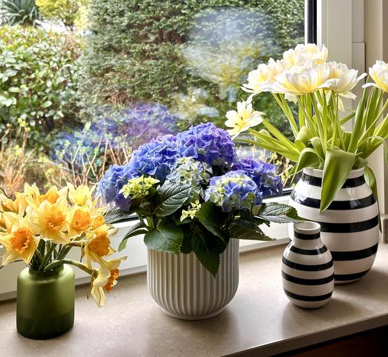 Bild von Die Einrichterin Bild von Die Einrichterin