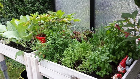 Hochbeet gebaut Hochbeet gebaut