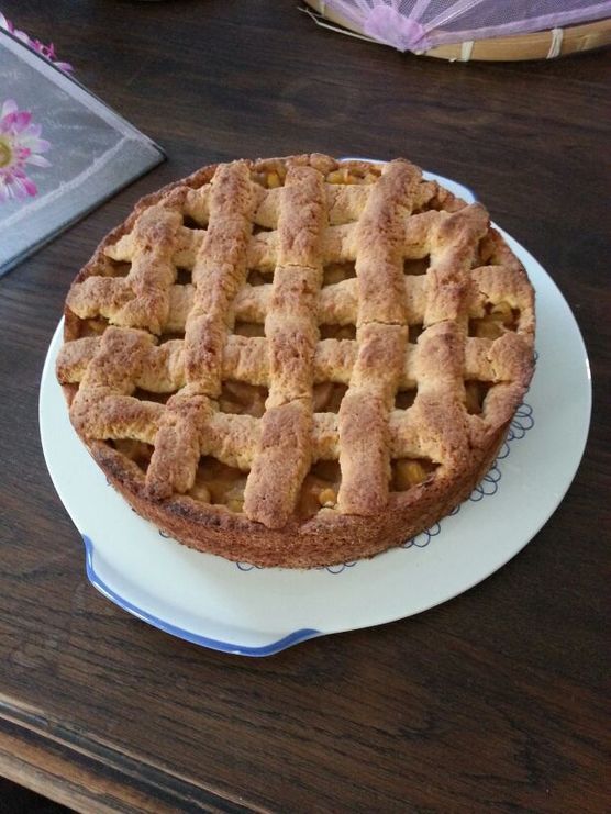 Apfelkuchen gebacken Apfelkuchen gebacken