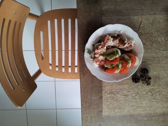 Futterhäuschen Futterhäuschen