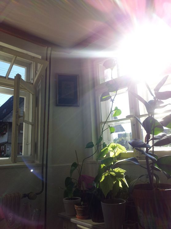 Erste schöne Ecke in der neuen Wohnung - Es tut sich was. :smile: Erste schöne Ecke in der neuen Wohnung - Es tut sich was. :smile: