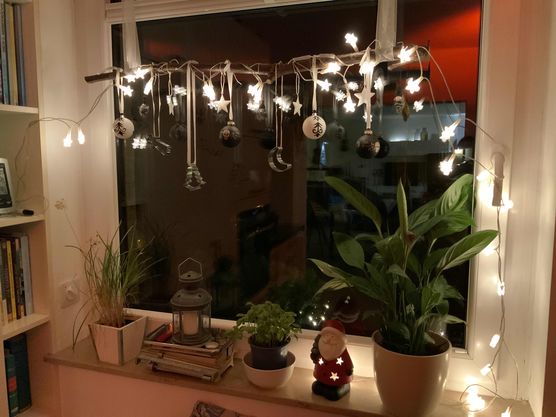 Bild von The real life Bild von The real life