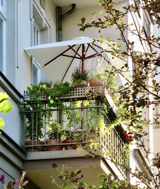 Bild von aada Bild von aada