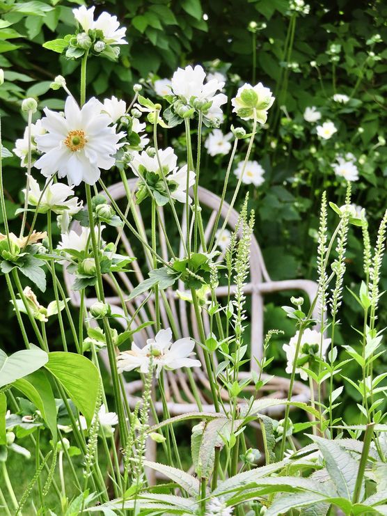 Bild von aada Bild von aada