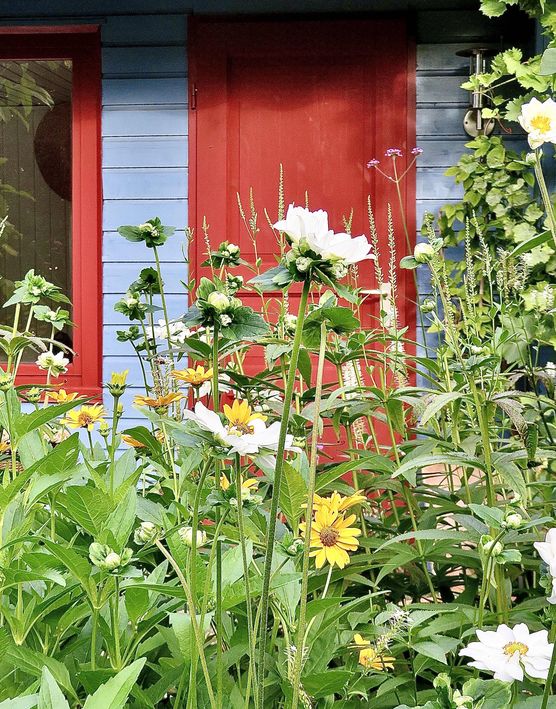 Bild von aada Bild von aada