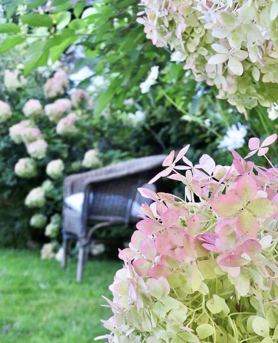 Bild von aada Bild von aada