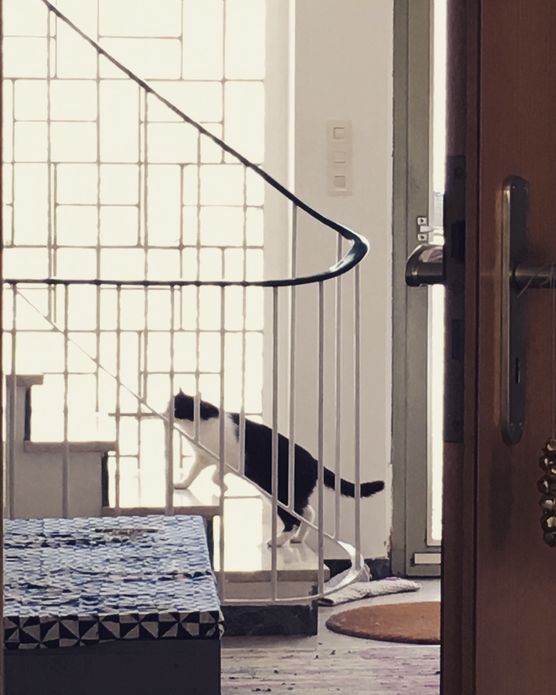 treppenhaus . treppenhaus .