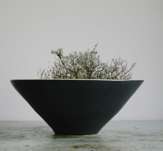 thymian aus frankreichs süden . thymian aus frankreichs süden .