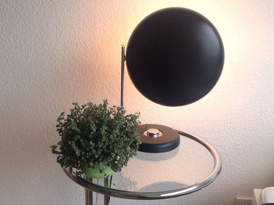 Bild von Katz und Hund Bild von Katz und Hund