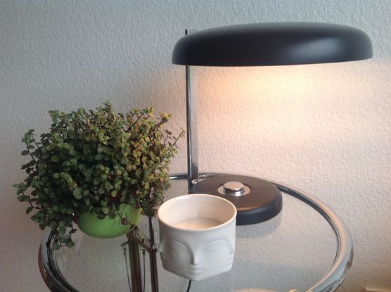 Bild von Katz und Hund Bild von Katz und Hund