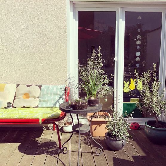 Juhu endlich kommt mein Juhu endlich kommt mein