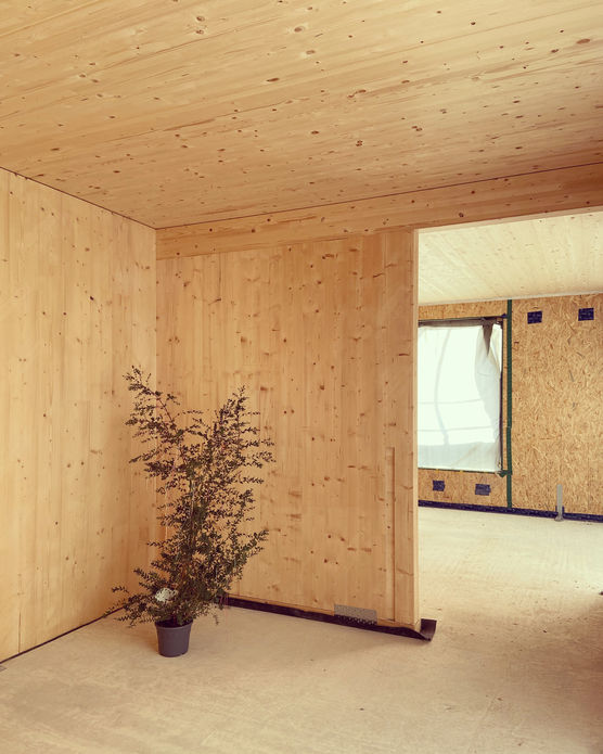 Wenn Träume wahr werden Wenn Träume wahr werden