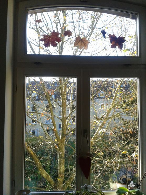 Blick aus dem Fenster Blick aus dem Fenster