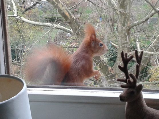 Es ist mir gelungen... Es ist mir gelungen...