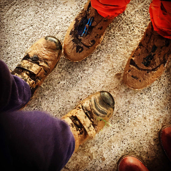 Bild von Distelmaedchen Bild von Distelmaedchen