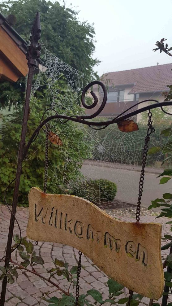 Bild von ernie Bild von ernie