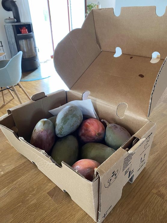 Bild von ernie Bild von ernie