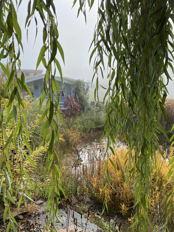 Bild von ernie Bild von ernie