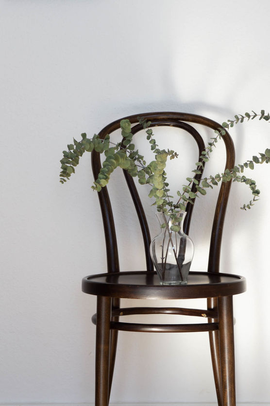 Beautiful bentwood details of Beautiful bentwood details of